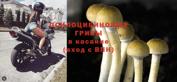 2c-b Зеленодольск