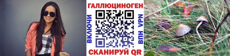 Галлюциногенные грибы прущие грибы  Купить где  Никольское 